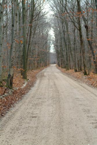 Beaver Island West Side Drive Fall