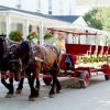 Mackinac Island Carriage on Market Street