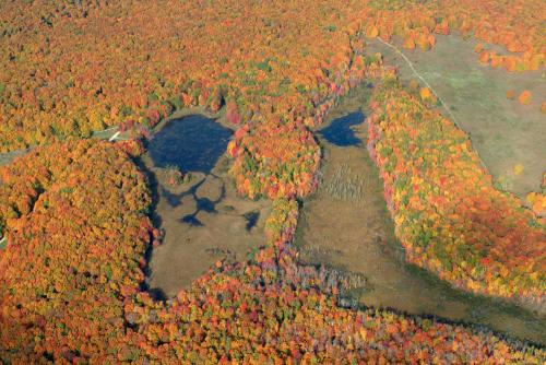 CMU Miller's Marsh Fall #2